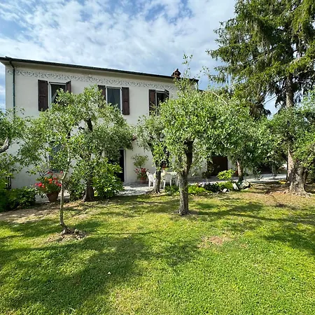 Casa Romana Viareggio