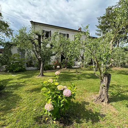 Casa Romana Viareggio