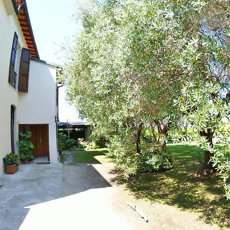 Casa Romana * Viareggio