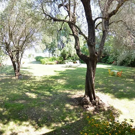 Casa Romana *