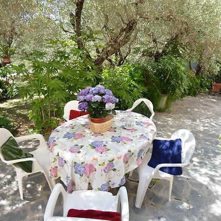 Casa Romana