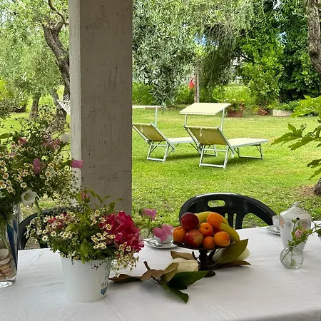 Casa Romana Будинок відпочинку В'яреджо