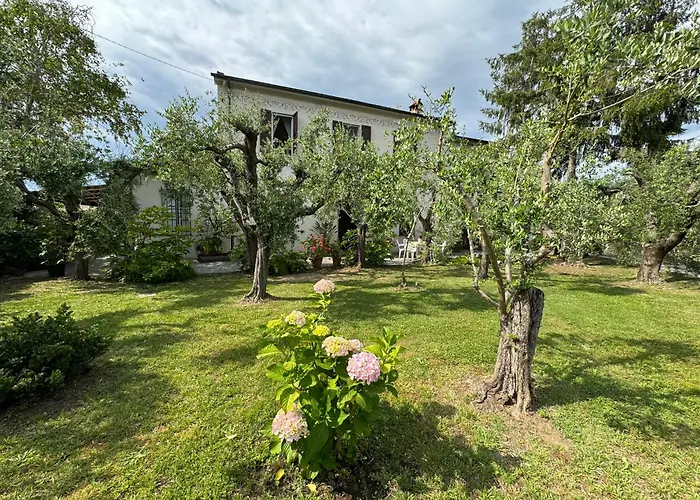 Casa Romana Viareggio