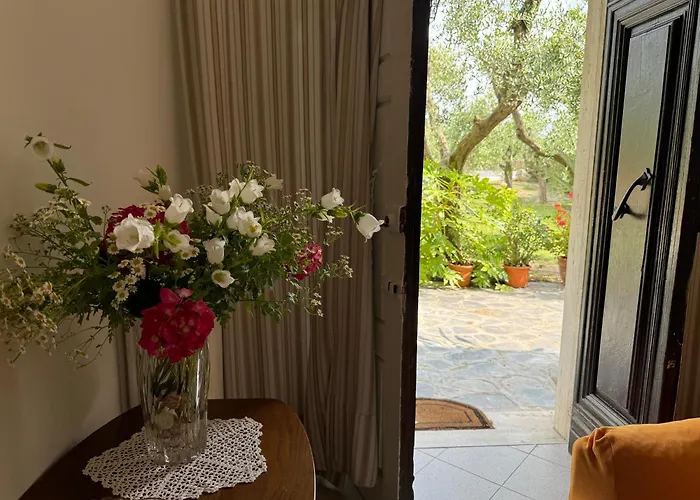 Casa Romana * Viareggio