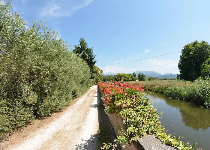 Casa Romana Viareggio