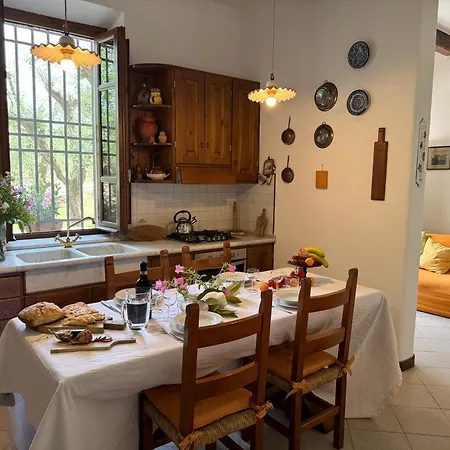 Casa Romana
