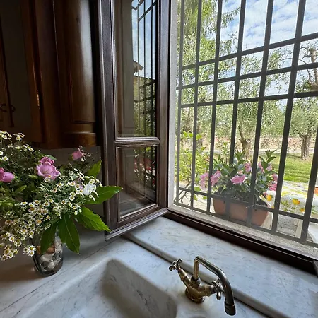 Casa Romana